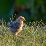 Alloggio per agriturismo Valsiniga - Your Private Family Retreat On Garda *