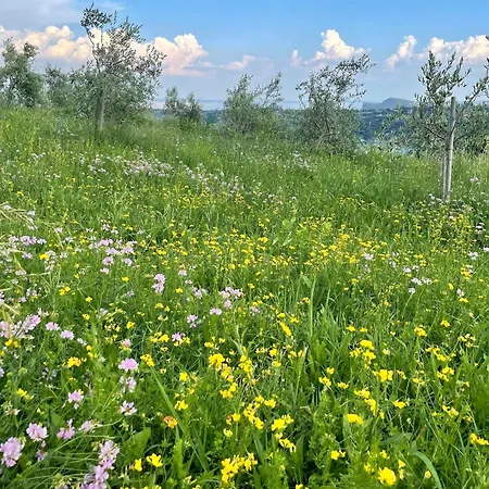 Valsiniga * Salò