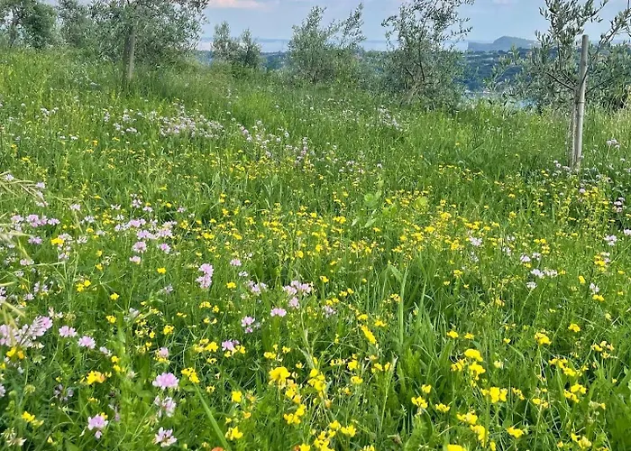 Valsiniga - Your Indipendent Country Into A Natural Park, With A Stunning View, Private Garden And Above Ground Pool In Exclusive For And Your Family! * Saló