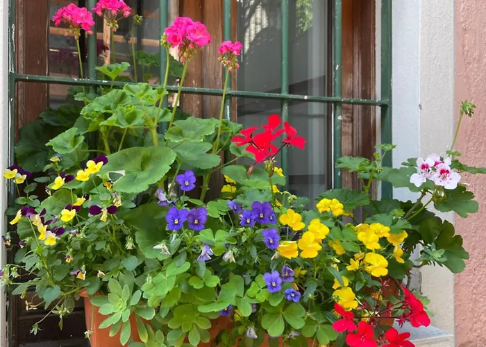 Valsiniga - Your Indipendent Country Into A Natural Park, With A Stunning View, Private Garden And Above Ground Pool In Exclusive For And Your Family! * Saló