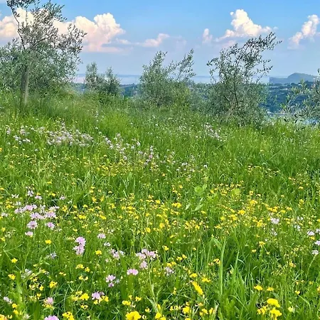Farm stay Valsiniga *