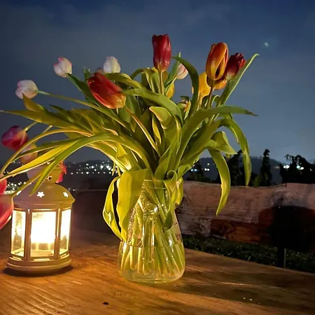 Farm stay Valsiniga Salo